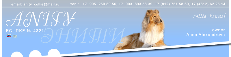 Collie kennel ANITY. Cultivation, results of exhibitions, sale of puppies, photos