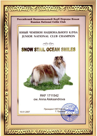 Наш сертификат Юного Чемпиона НКП