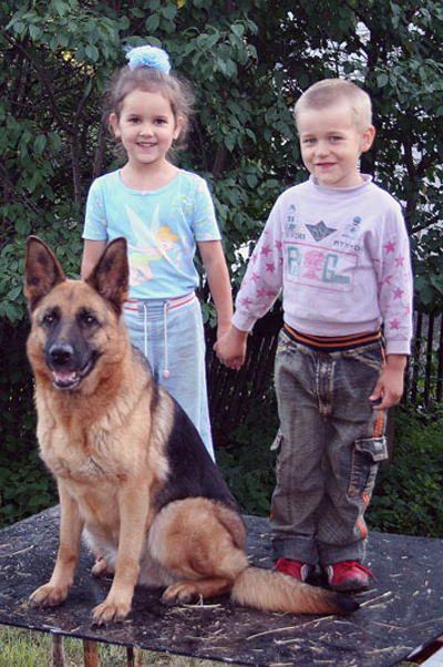 Это Настя и Денис с немецкой овчаркой Варвара из Смоленской Крепости.